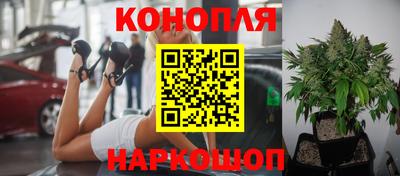 apvp Тулун