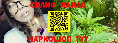 амф Тула