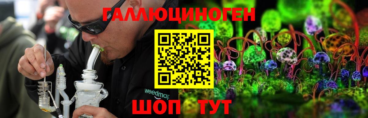 Псилоцибиновые грибы GOLDEN TEACHER Батайск
